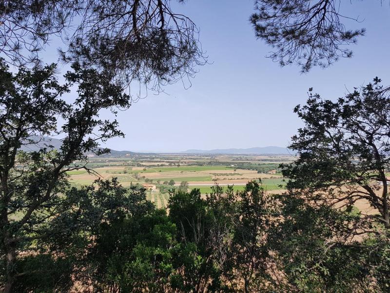 Poggio Alto Agrioturismo Grosseto Exterior foto